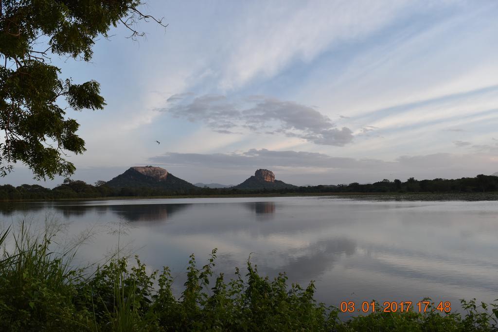 Sigiri Dilu Villa Sigiriya Eksteriør billede